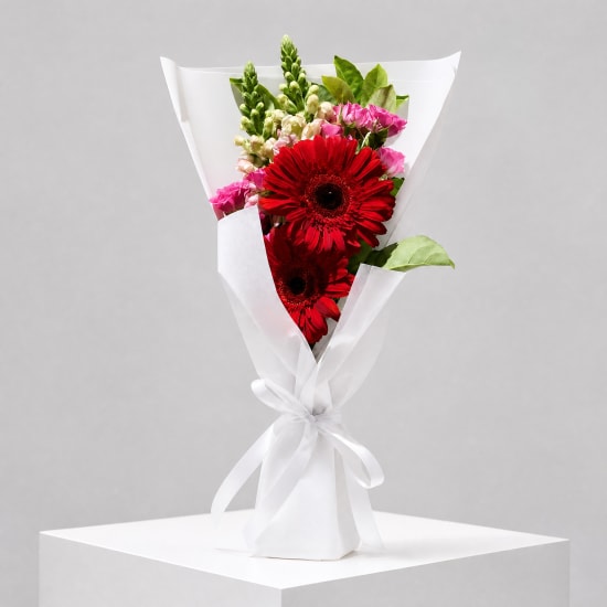 Daily Bouquet - Red gerberas and pink punch - Standard