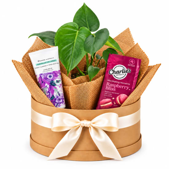 🌿💗 A Little Moment Of Bliss Plant 💗🌿 - Standard