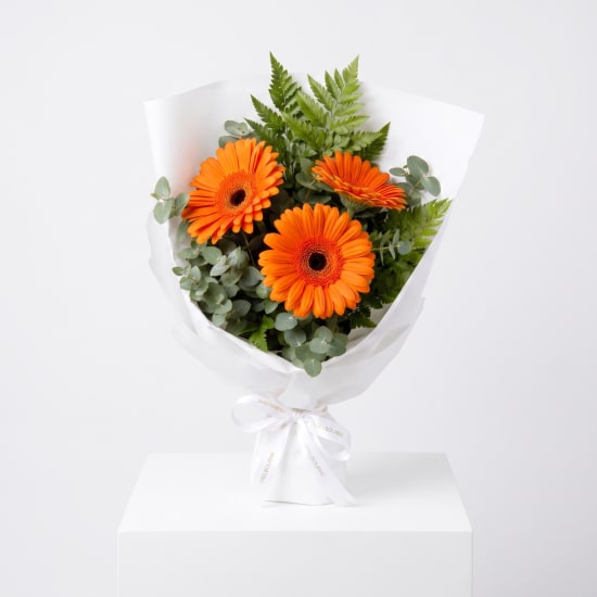 Gerbera Gems Posy - Standard (view 2 of 4)