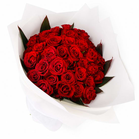 50 Rose Grandeur - Standard