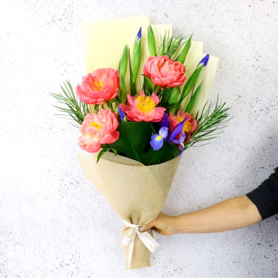 Coral And Cobalt - Standard