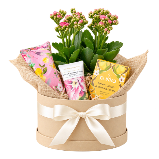 Winter Wellness Gift Boxed Hamper - Standard