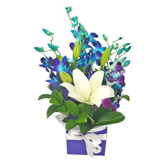 Blue Making Magic Posy Box - Standard