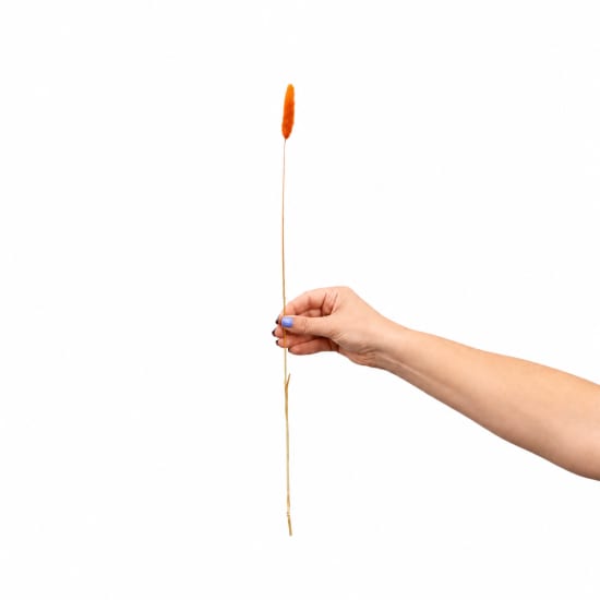 Single Orange Bunny Tail - Standard
