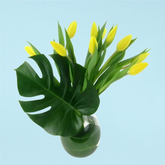 Sweet Simplicity - Standard