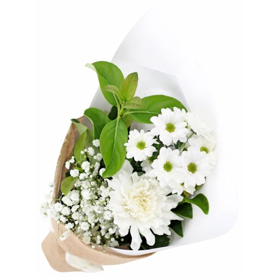 Little Thinking Of You Bunch - Standard