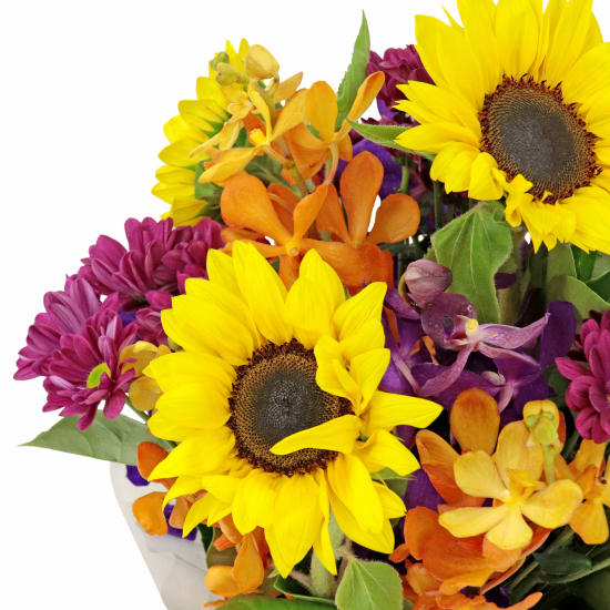 Radiant Bright Flower Box - Standard