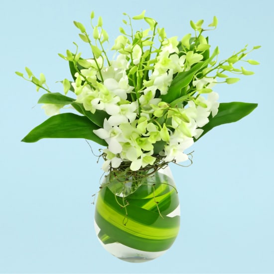 Marvel At Me - Standard