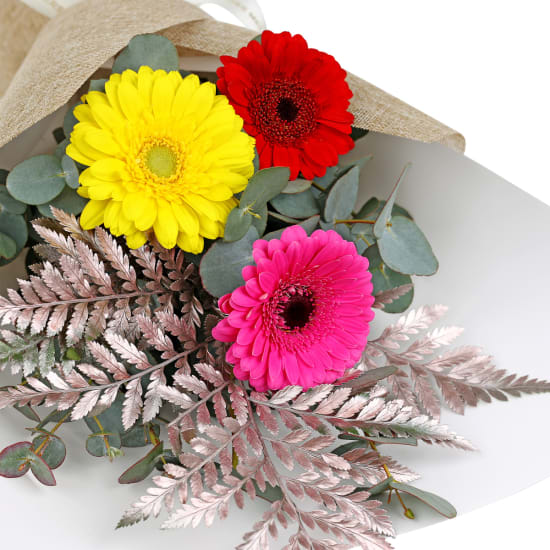 Mini Gerbera Gems Posy - Standard