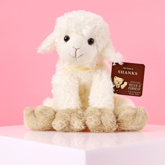 Shanks The Lamb - Standard