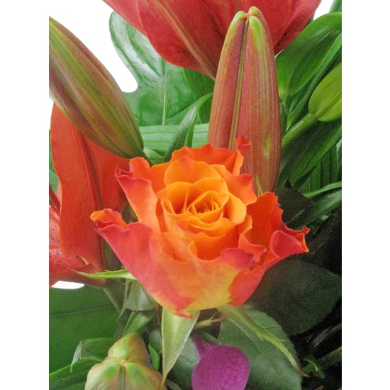 Happy Dance Flower Arrangement In Ceramic Vase - Standard