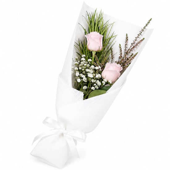 Pink Double Delight Roses - Standard