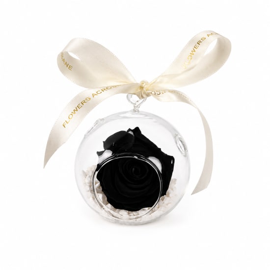 Preserved Orb - Standard