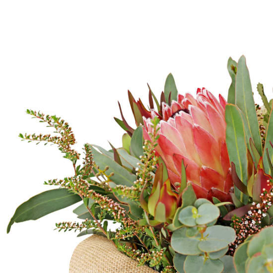 Native Hat Box - Standard