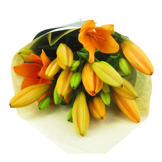 Orange Lily Bunch - Standard