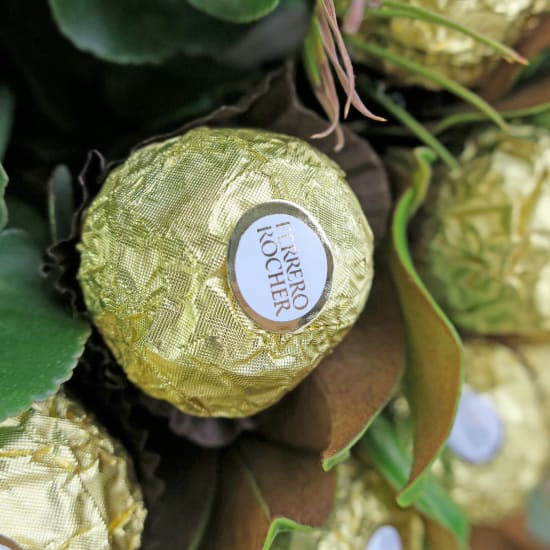Oh My Sweetness – Ferrero Rocher Picks - Standard
