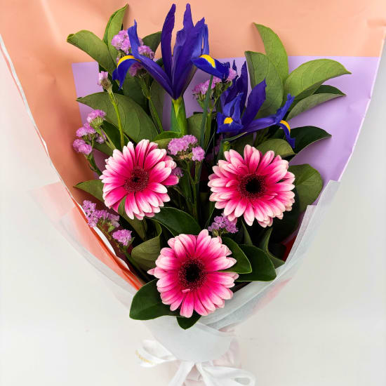 Daily Bouquet Radiant Elegance in Bloom - Standard
