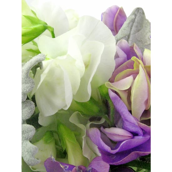 Back To Nature Sweet Pea Flower Vase - Standard