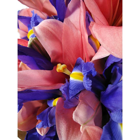 Lilies and Iris - Premium