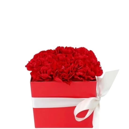 Little Carnation Flower Box   Red - Standard