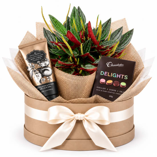 🌿💕 Peperomia Rosso Pamper & Treats Plant Hamper 💕🌿 - Standard