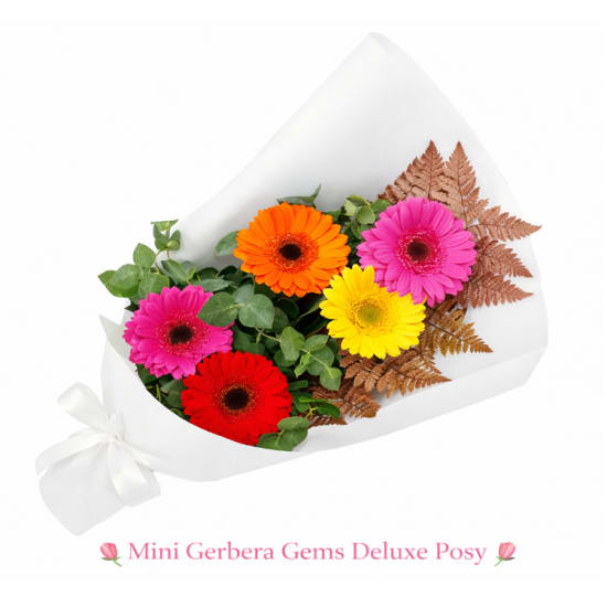 Mini Gerbera Gems Posy - Deluxe