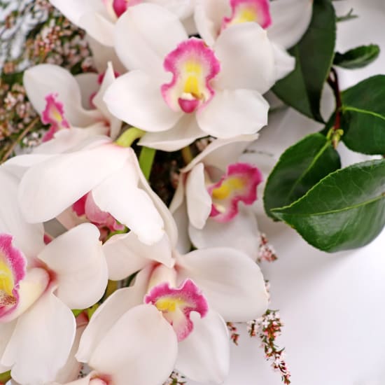 Cymbidium Paradise Bouquet - Standard