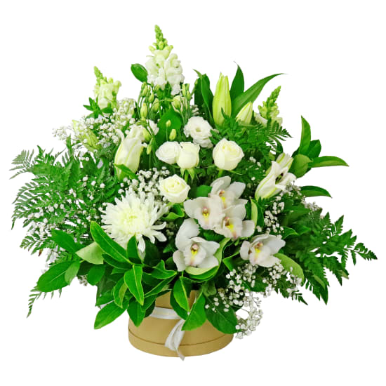 Dreaming In Snow White Flower Hat Box - Standard