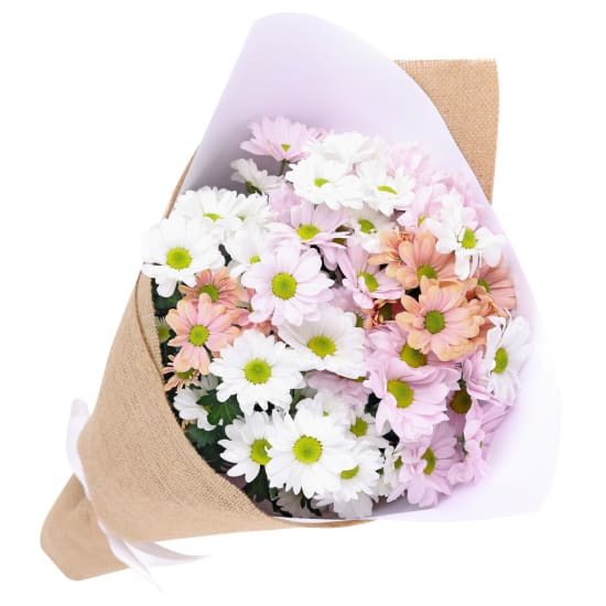 Mixed Pastels Chrysanthemum Bunch - Deluxe