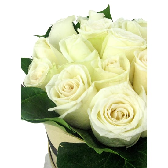 So Fancy Rose Hat Box - Deluxe