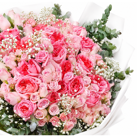 Rose Reverie - Standard