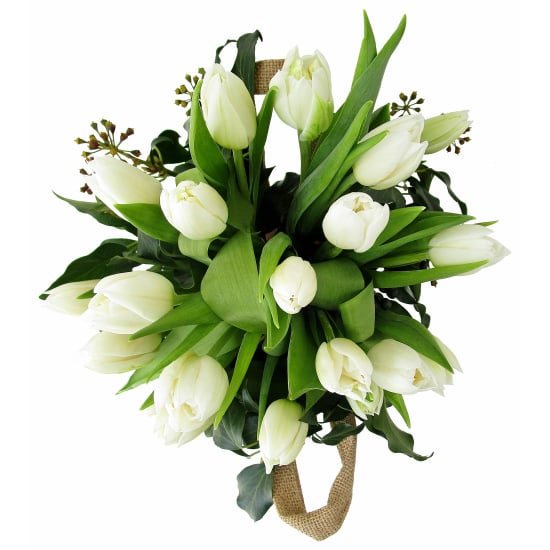 Heralds Of Spring - Standard