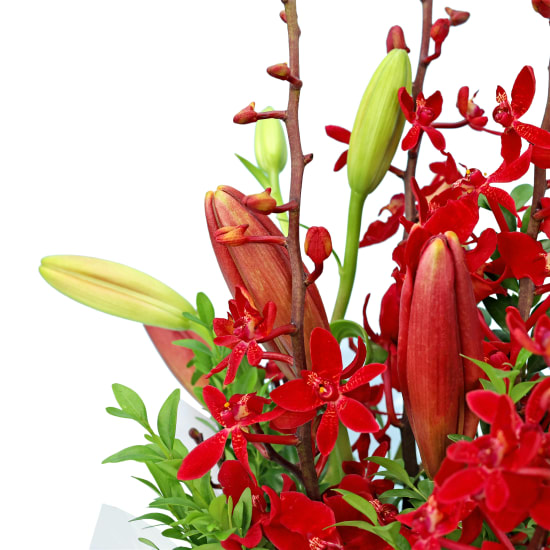 Red Making Magic Posy Box - Standard