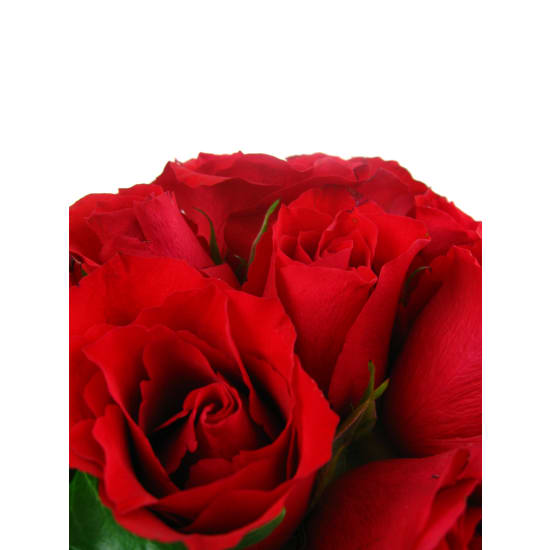 Red Rose Vase - Deluxe