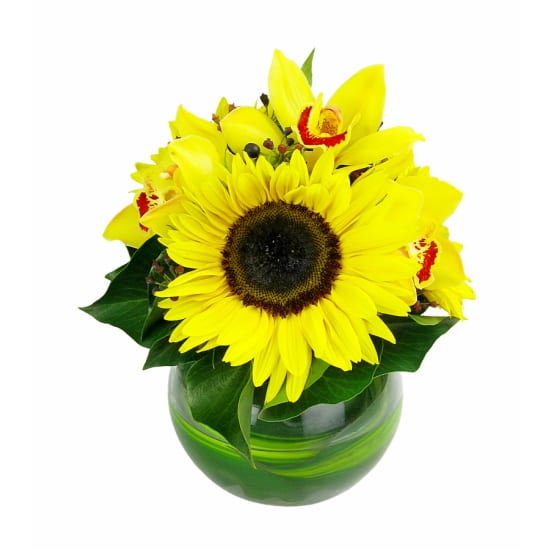 Citron Yellow Glass Fish Bowl Arrangement - Standard