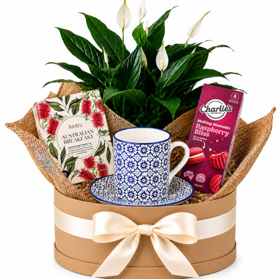 ☕🌿 Tea Time Bliss Plant Hamper 🌿☕ - Standard