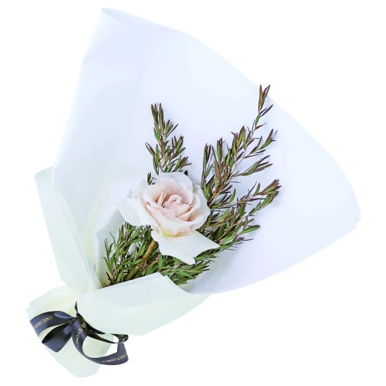 Little Graceful Gestures - Standard