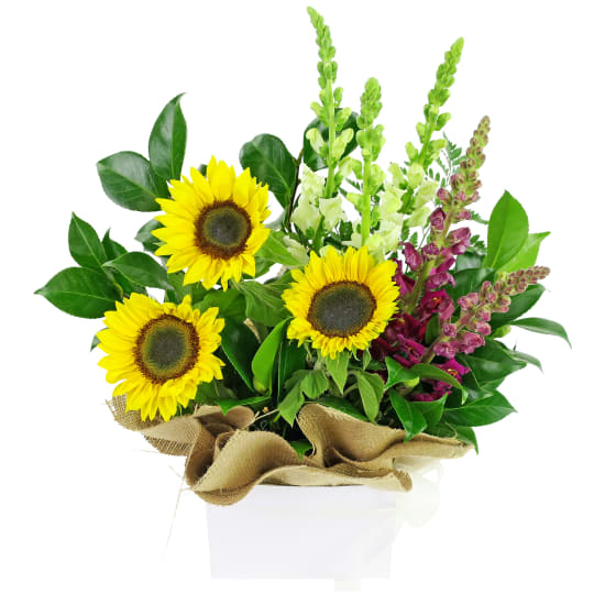 Gardenside Flower Box - Standard