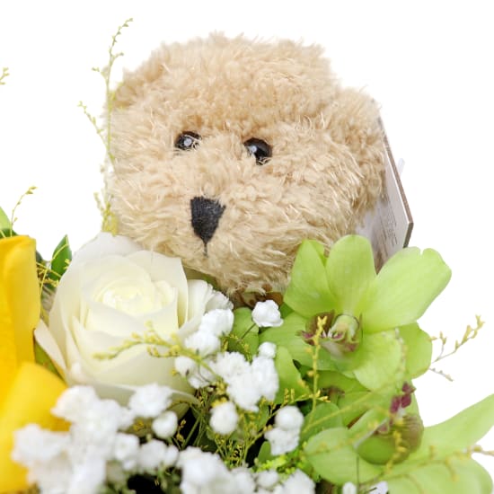 Cuddles & Blooms - Standard