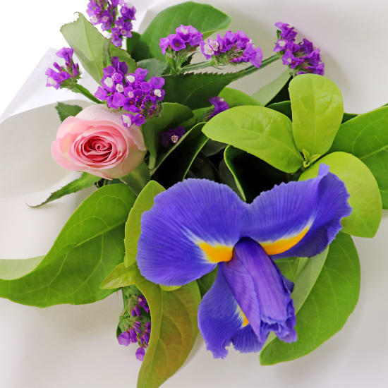 A New Day Pink Posy - Standard