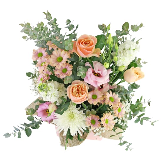 Pastel Parfait - Standard