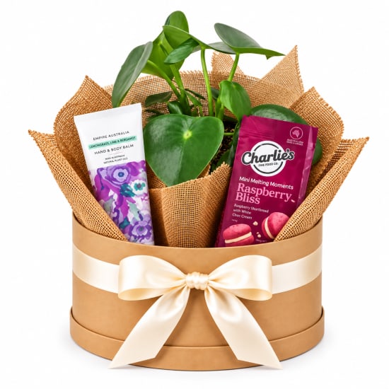 🌸🪴 Little Moments Of Bliss Plant Hamper 🪴🌸 - Standard