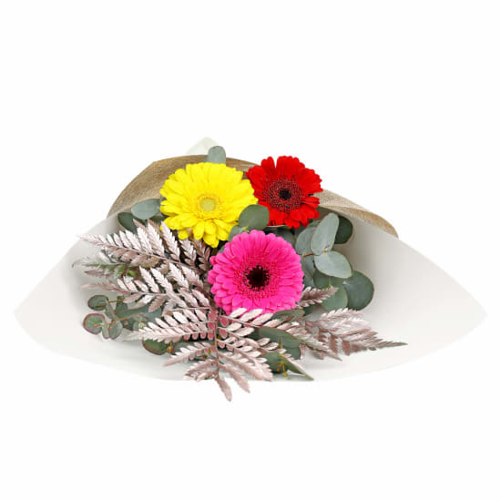 Mini Gerbera Gems Posy - Standard