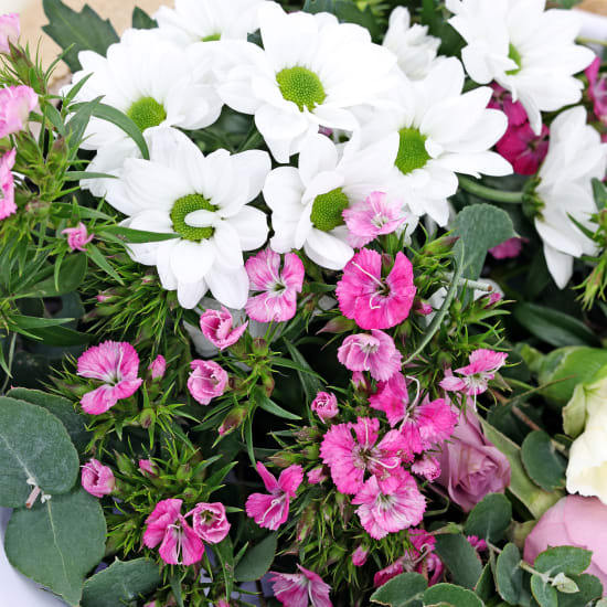 Little Victorian Blooms - Deluxe