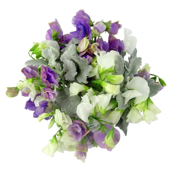Back To Nature Sweet Pea Flower Vase - Standard