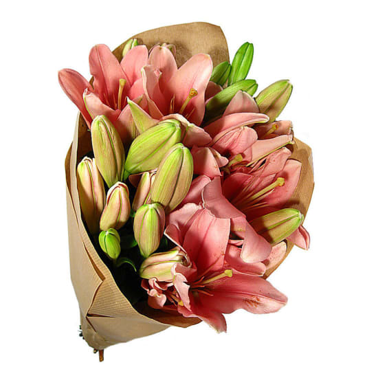 Lily Bunch - Deluxe
