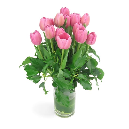 Tulip Vase - Standard