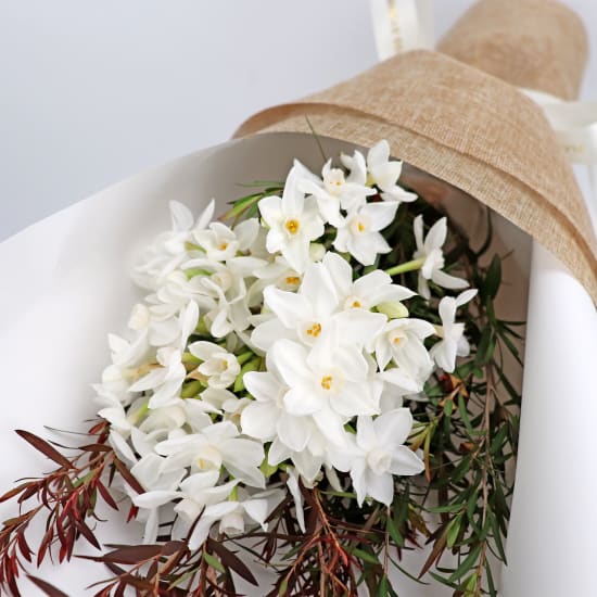 Erlicheer Posy - Standard