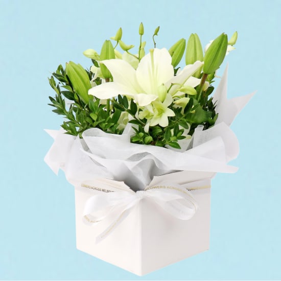 White Making Magic Posy Box - Deluxe