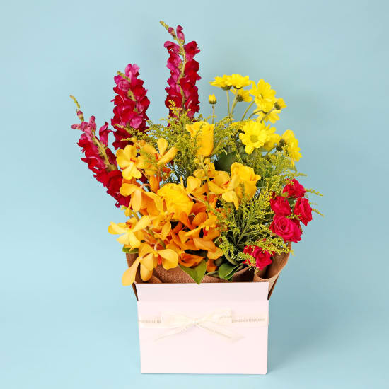 Colourburst Bloom Box - Premium